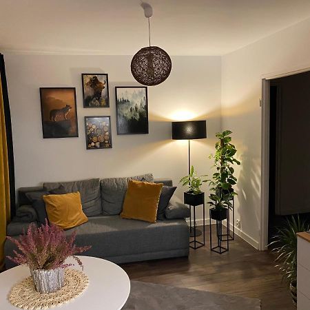 Apartmán Wilcza Ostoja Bieszczady Ustrzyki Dolne Exteriér fotografie